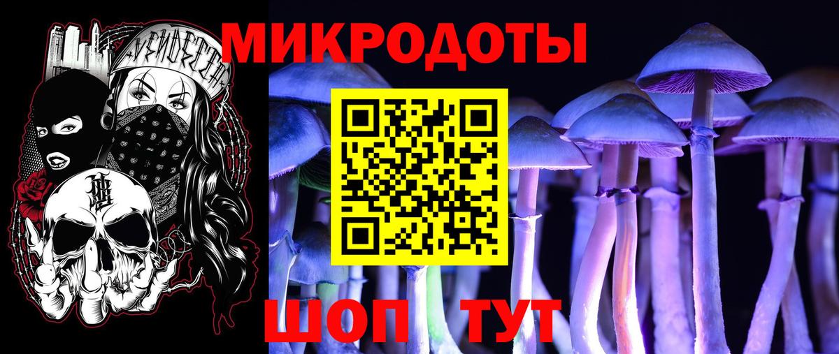 Черняховск  Галлюциногенные грибы Magic Shrooms  как найти закладки  Вход с VPN 